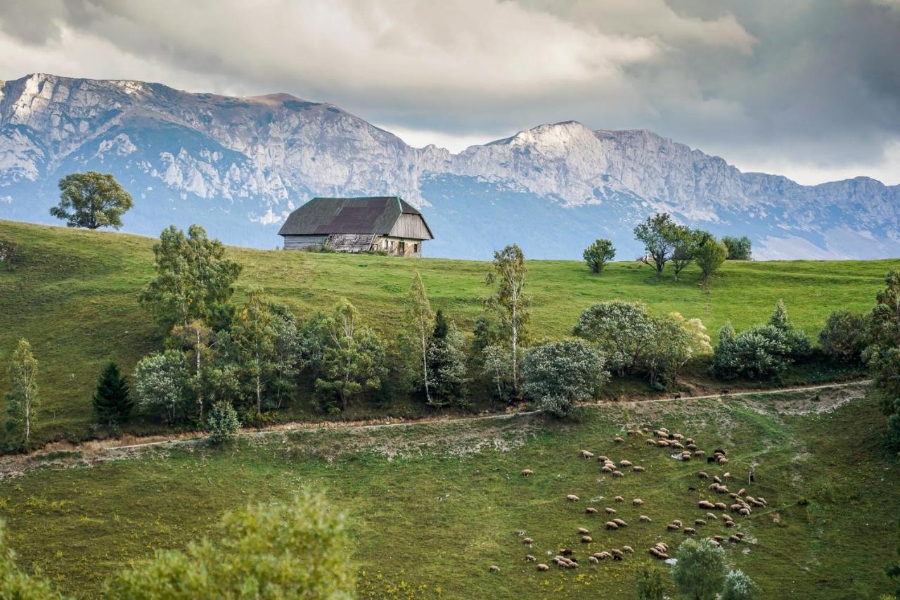 Pensiunea Hodaita Măgura Exterior foto