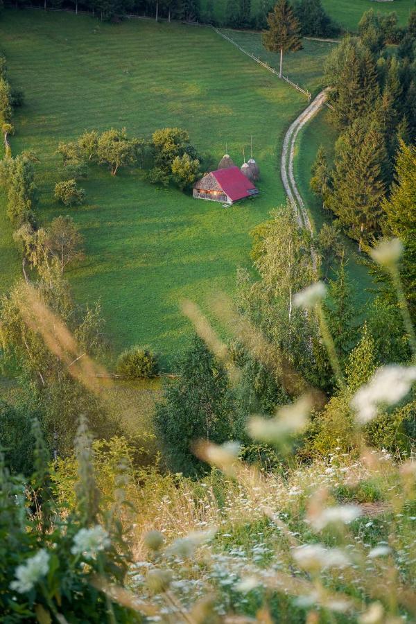 Pensiunea Hodaita Măgura Exterior foto